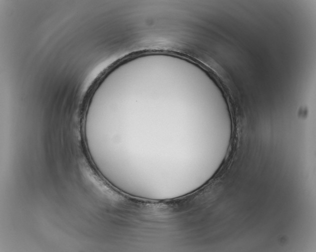 X0000112871120200909111526