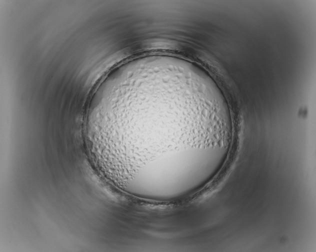 X0000112871121200909111526