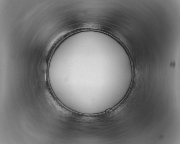 X0000112871123200909111526