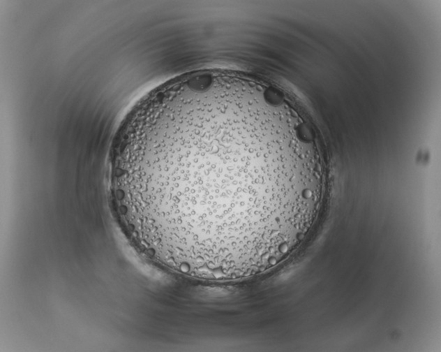 X0000112871125200909111526