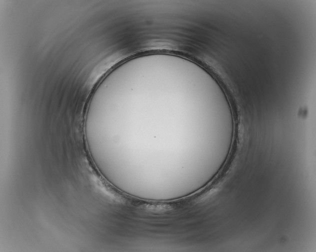 X0000112871129200909111526