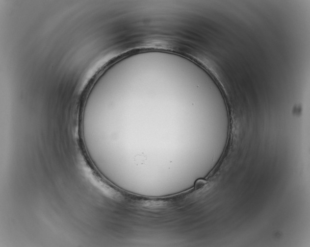 X0000112871131200909111526