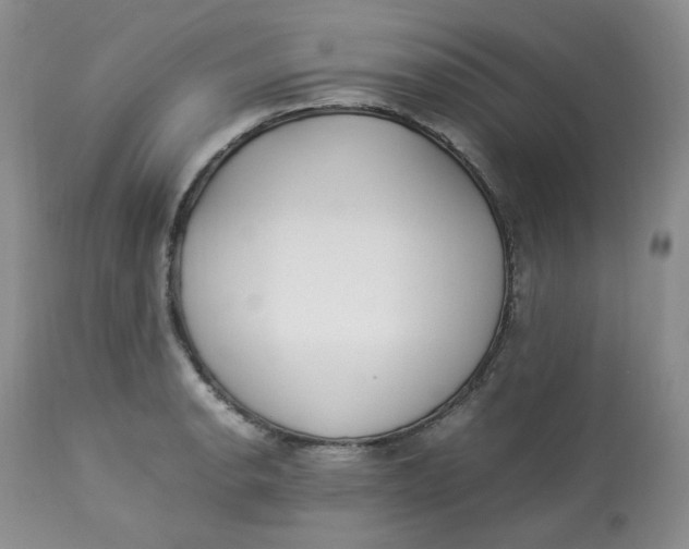 X0000112871134200909111526