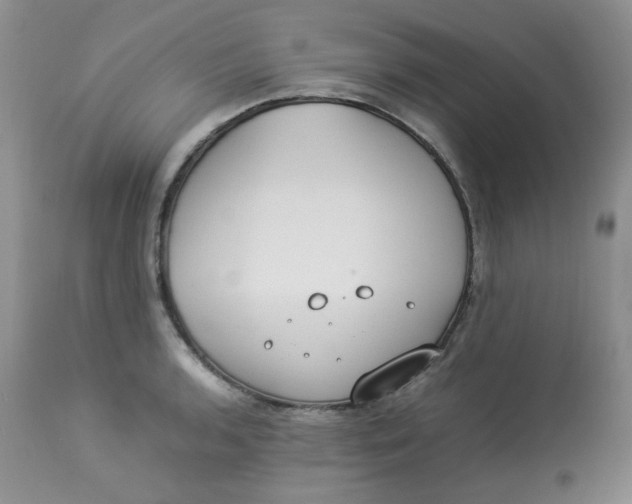 X0000112871136200909111526