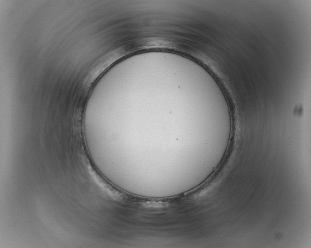 X0000112871137200909111526