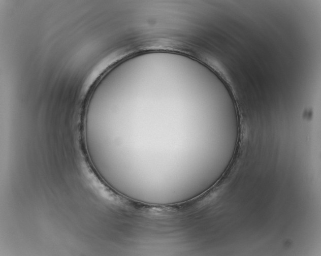 X0000112871138200909111526