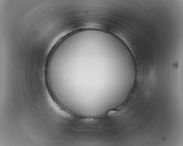 X0000112871139200909111526