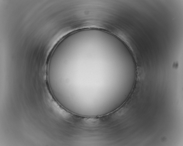 X0000112871140200909111526