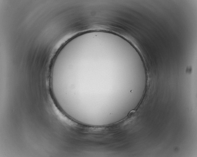 X0000112871143200909111527