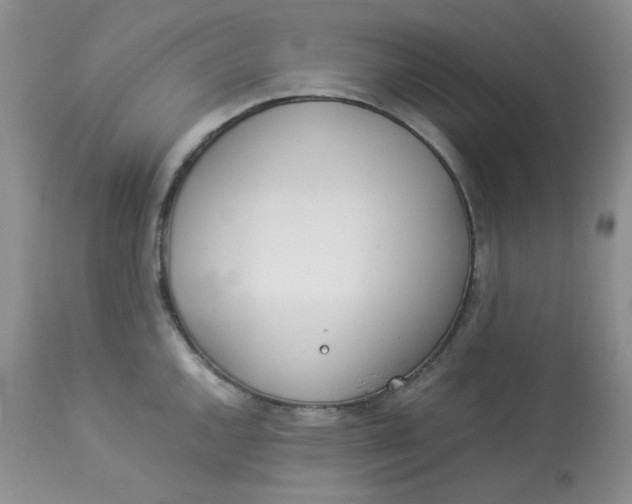 X0000112871144200909111527