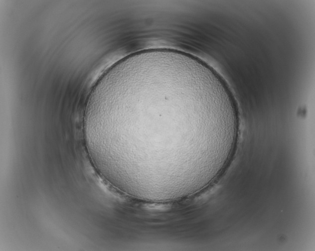 X0000112871145200909111527