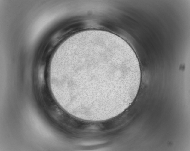 X0000112871150200909111527