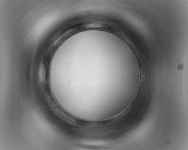 X0000112871151200909111527