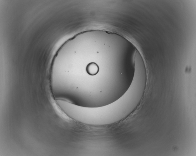 X0000112871152200909111527