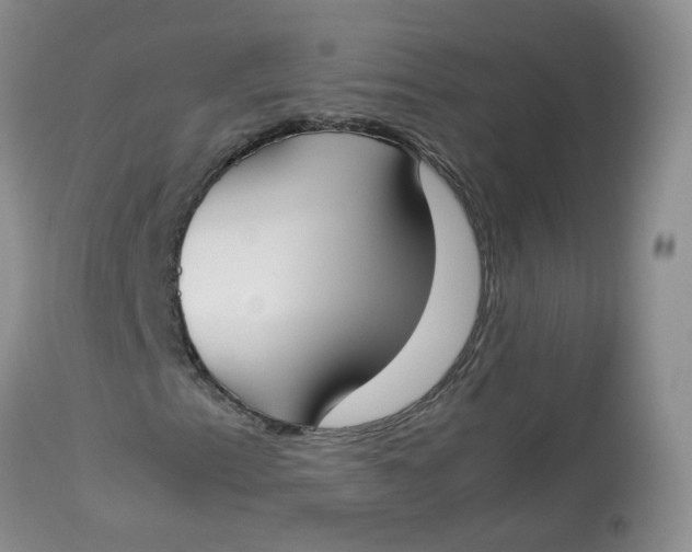 X0000112871153200909111526