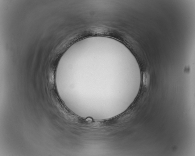 X0000112871155200909111526