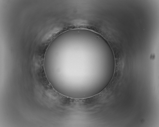 X0000112871157200909111526