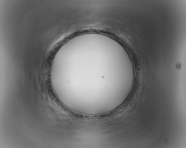 X0000112871159200909111526