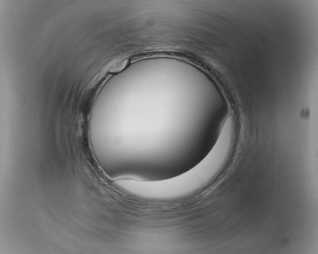 X0000112871161200909111526