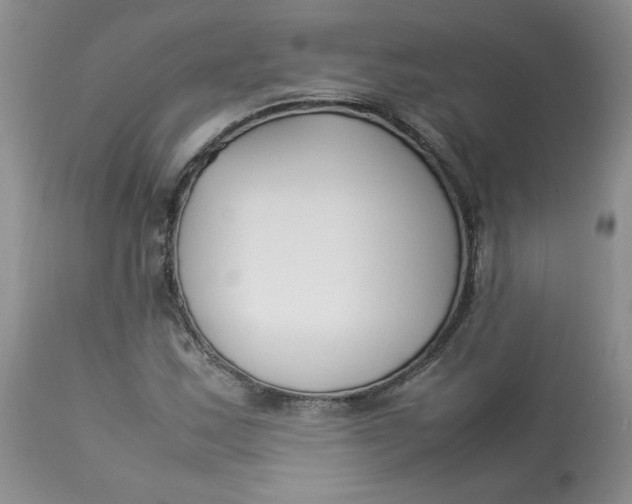 X0000112871163200909111526