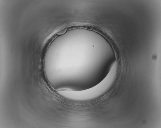 X0000112871165200909111526