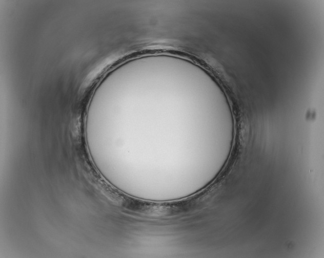 X0000112871167200909111526