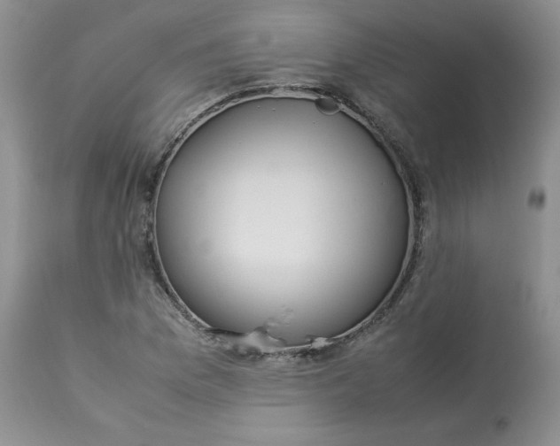 X0000112871169200909111526