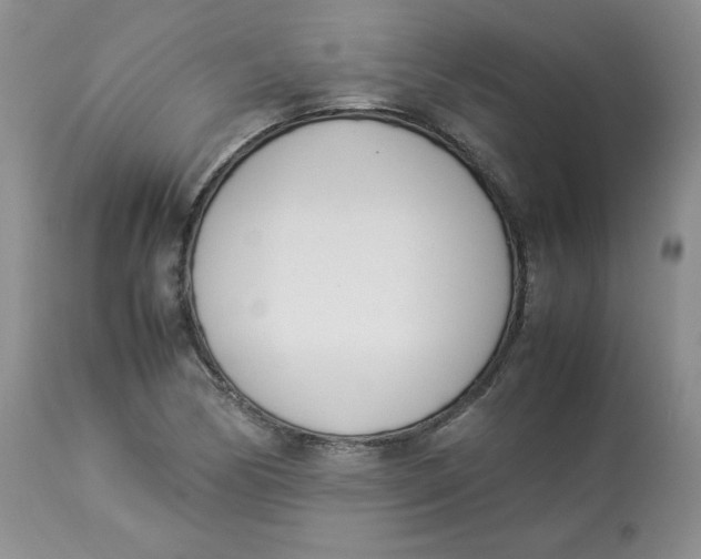 X0000112871170200909111526