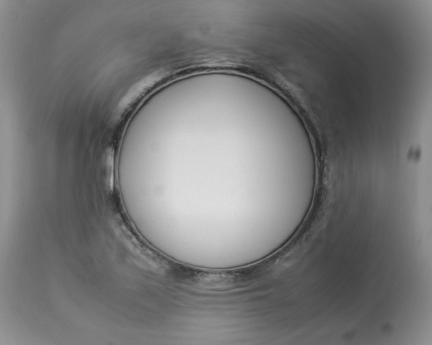 X0000112871171200909111526