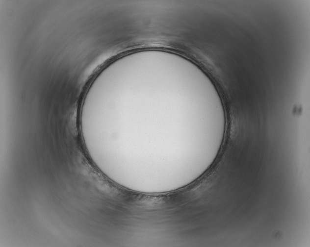 X0000112871174200909111526