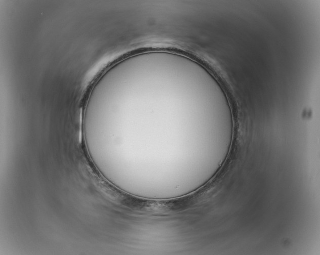 X0000112871175200909111526