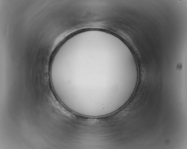 X0000112871176200909111526