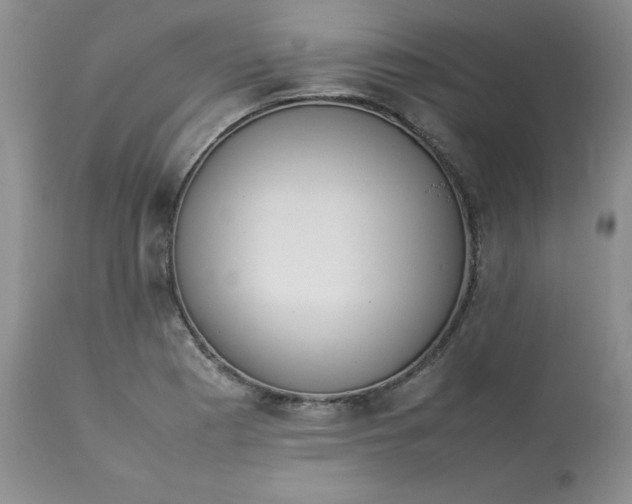 X0000112871177200909111525