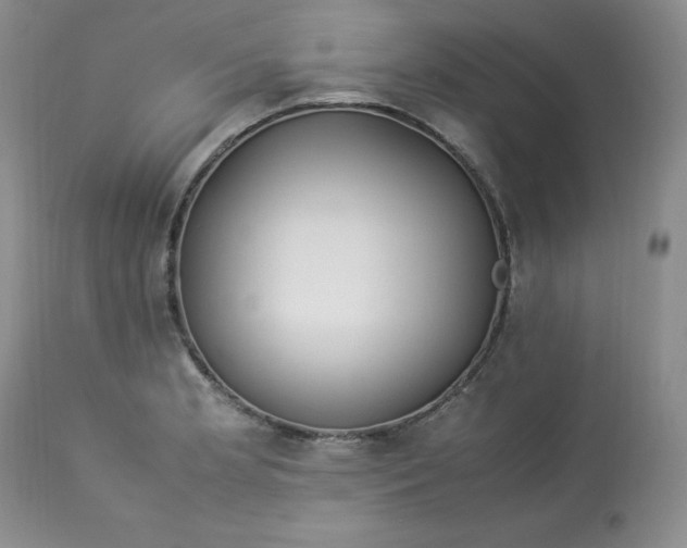 X0000112871181200909111525