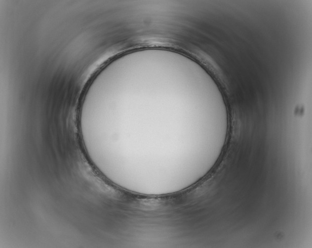 X0000112871182200909111525