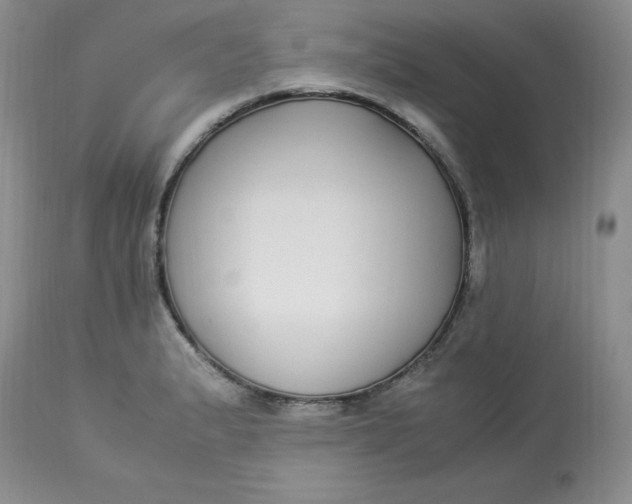 X0000112871183200909111525