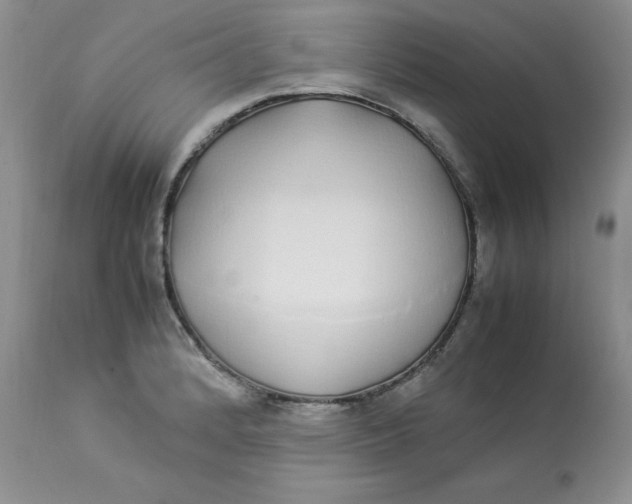 X0000112871184200909111525