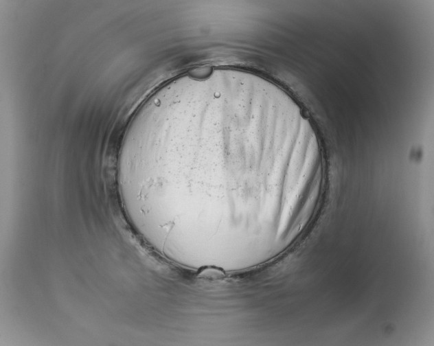 X0000112871185200909111525