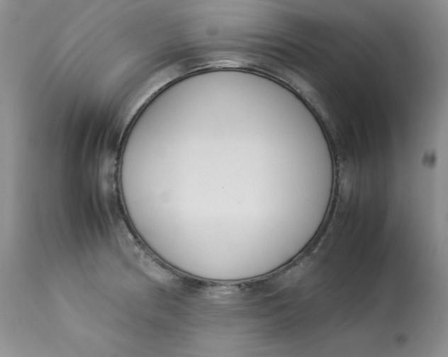 X0000112871186200909111525