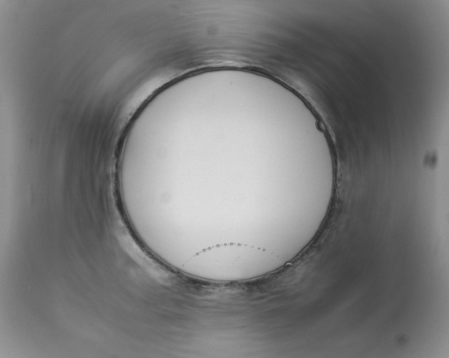 X0000112871187200909111525