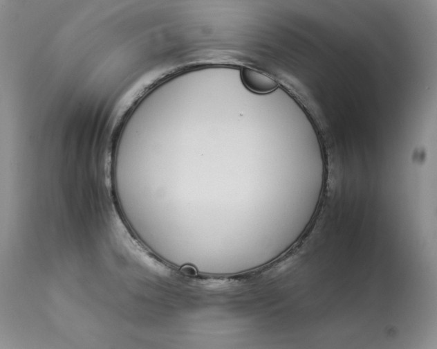 X0000112871188200909111525