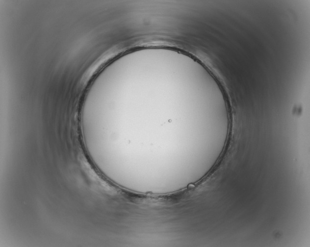 X0000112871189200909111525