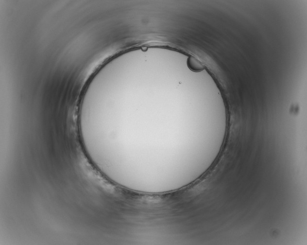 X0000112871190200909111525