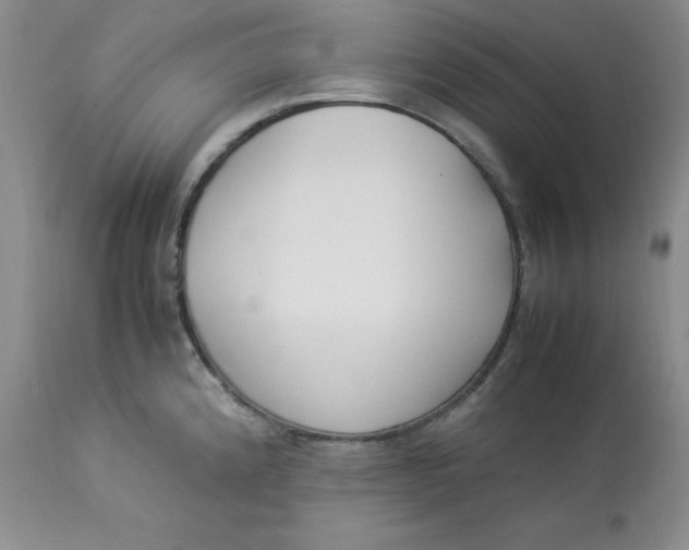 X0000112871192200909111525