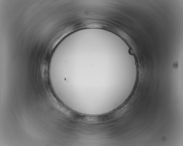 X0000112871194200909111525