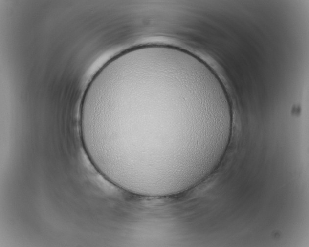 X0000112871199200909111525