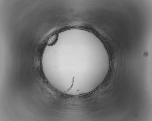 X0000112871206200909111525