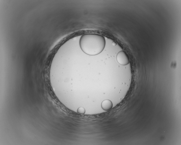 X0000112871208200909111525