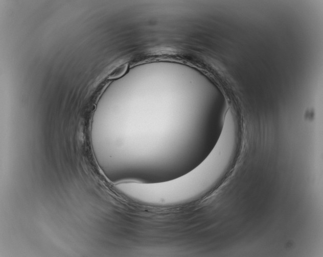 X0000112871209200909111525