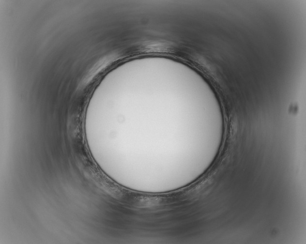 X0000112871211200909111525